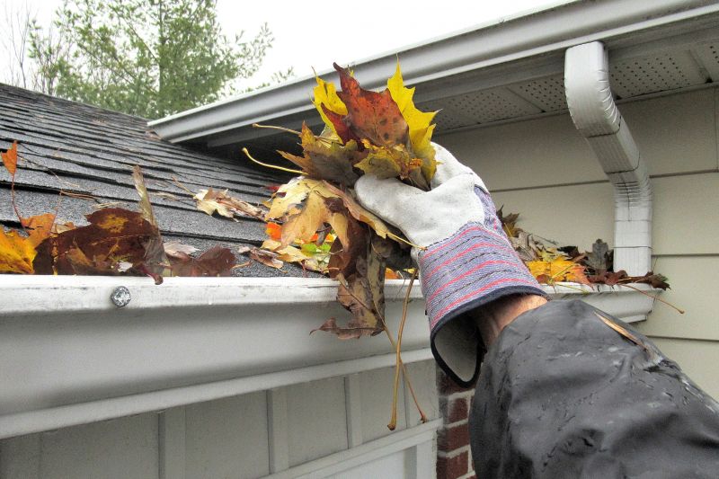 Seasonal Gutter Care